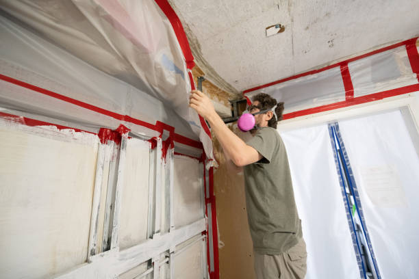 Best Forensic Mold Investigation  in Belvidere, NJ