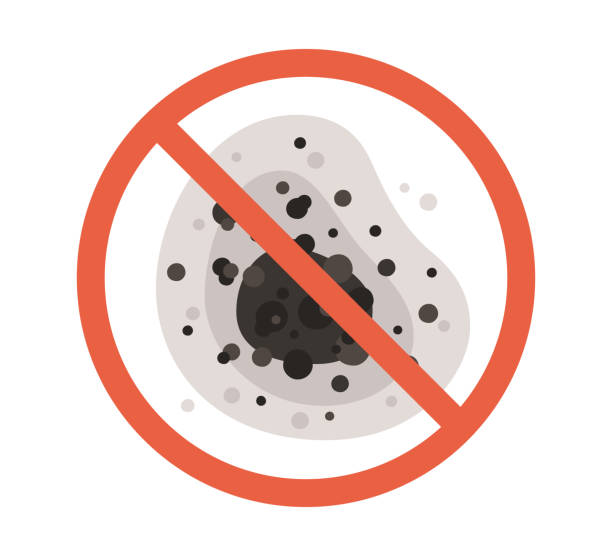 Best Comprehensive Air Testing for Mold Contaminants  in Belvidere, NJ