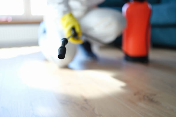 Best Emergency Mold Remediation  in Belvidere, NJ