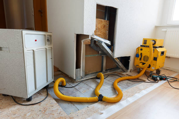 Best Commercial Mold Inspection  in Belvidere, NJ