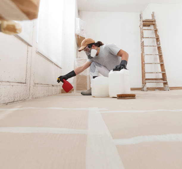 Best Water Damage & Mold Remediation  in Belvidere, NJ