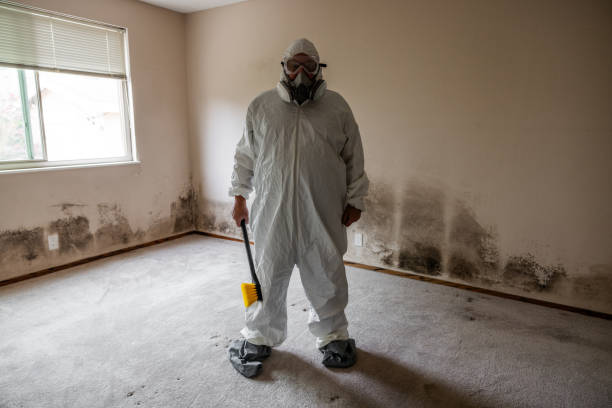 Best Post-Remediation Verification Testing  in Belvidere, NJ